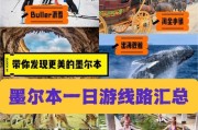 《铁路探险》游戏新手必看攻略（探索无尽的铁路世界）