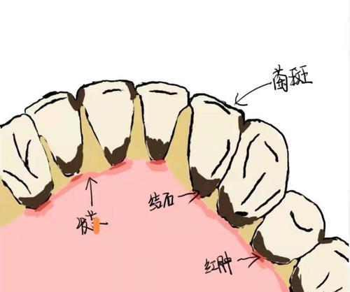 东方梦符祭神琦的技能属性如何？神琦在游戏中的表现厉害吗？